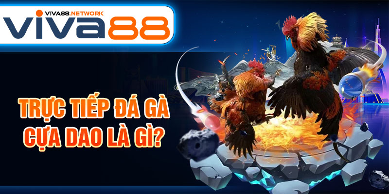 Trực tiếp đá gà cựa dao là gì? Trực tiếp đá gà cựa dao là gì?